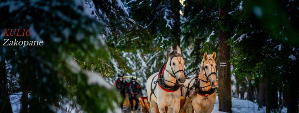 Kulig Zakopane